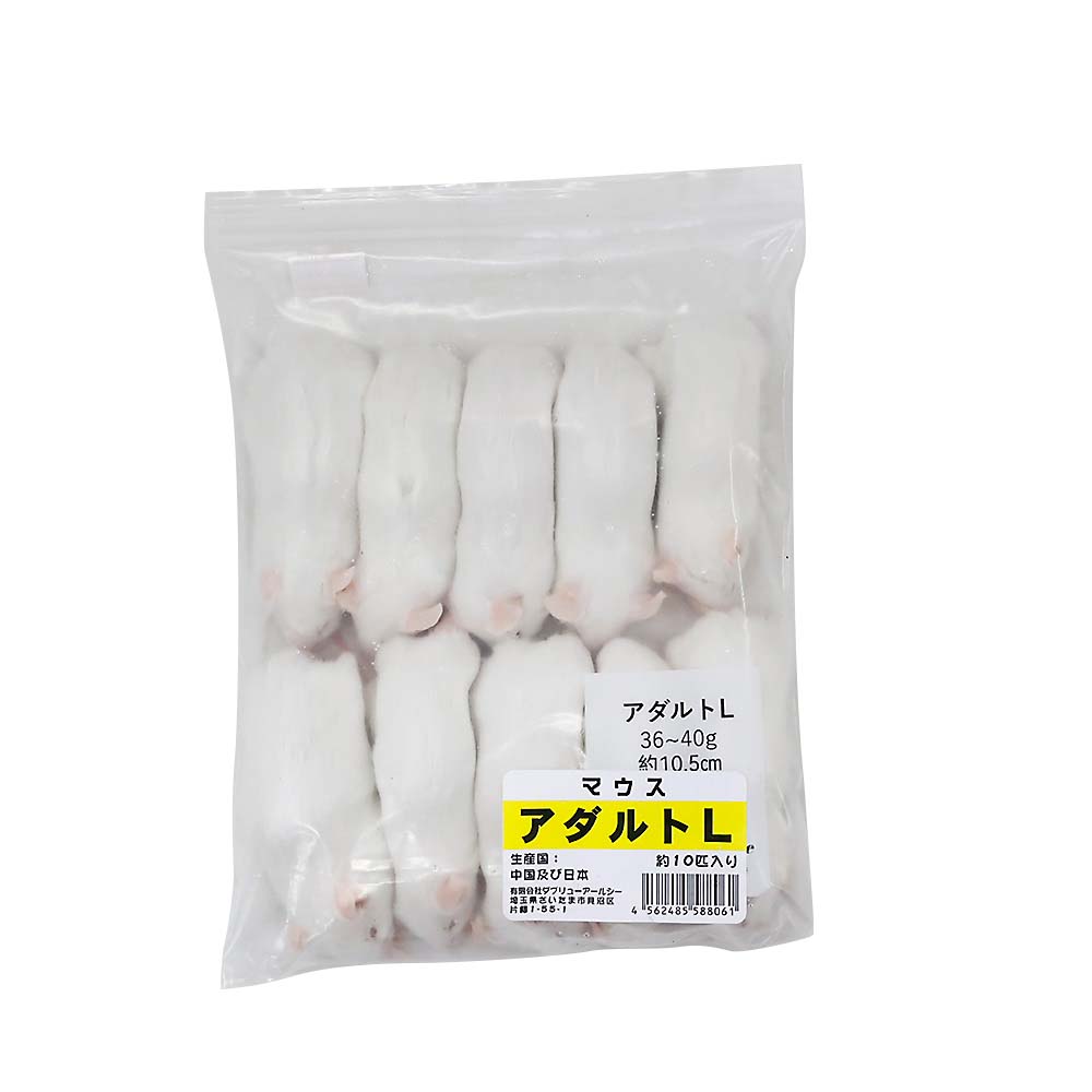 冷凍アダルトマウス　Ｌ１０匹