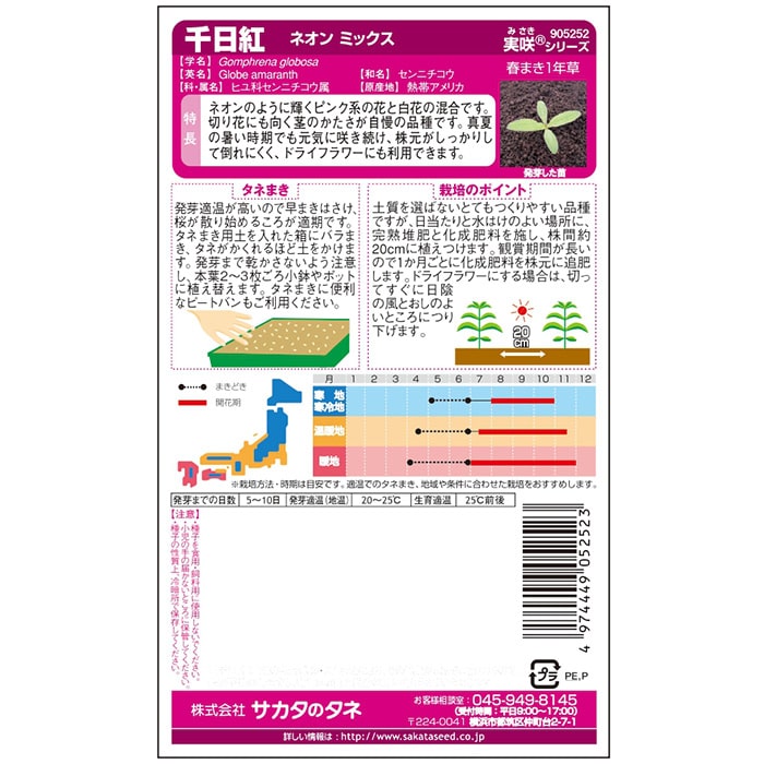 千日紅＿ネオン　ミックス　春秋兼用
