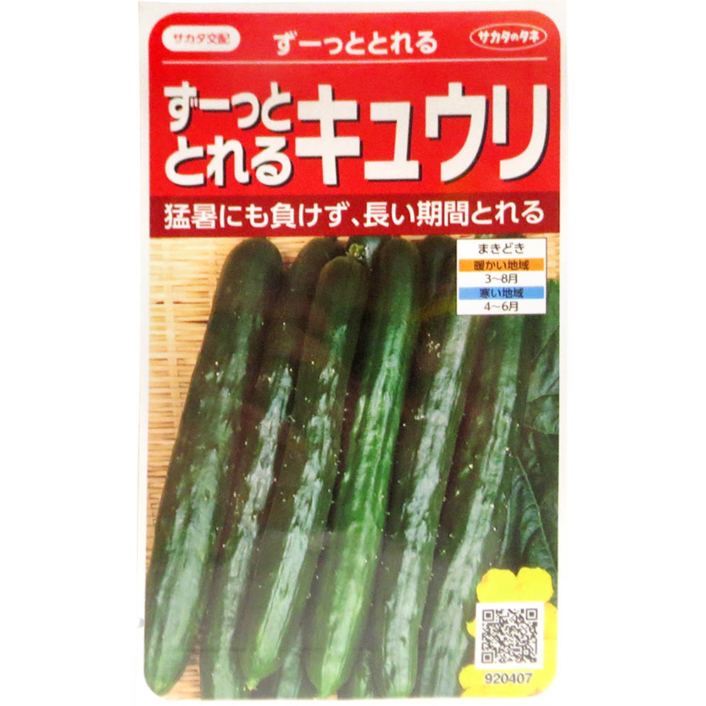 キュウリ_ずーっととれる　春まき