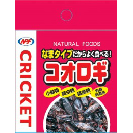 ＮＰＦ　コオロギ　４０ｇ